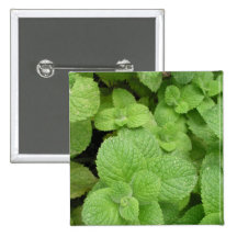 Mint Pinback Button