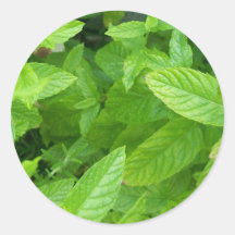 Mint Round Stickers