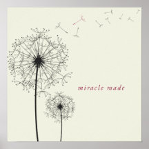 Miracle Made Poster
