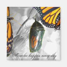 Miracles happen every day Magnet
