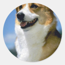 Mirage,"""" Welsh Corgi Round Stickers