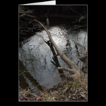 Mirror Creek greeting card cards