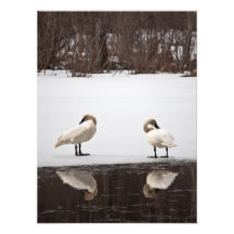 Mirror Image Art Photo