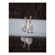 Mirror Mirror Art Photo