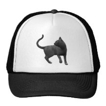 Mischievous Black Cat Hat