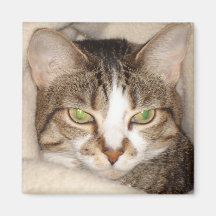 Miss.Kitty.2010 Refrigerator Magnets