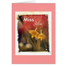 Miss , You Cards