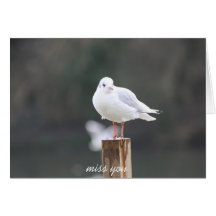 miss you greeting card