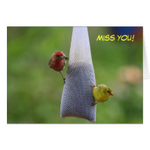 Miss You Greeting Card