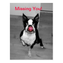 Missing You Postcards