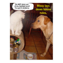 Missy lays down house rules. post cards