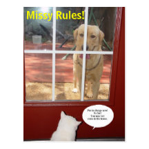 Missy Rules! Post Card