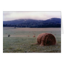 Misty Morn Card