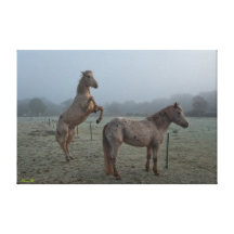 Misty morning stretched canvas print