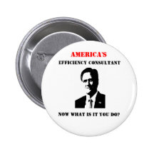 Mitt Romney Americas Efficiency Consultant Pinback Button