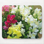Mixture of Snapdragons Mouse Pads