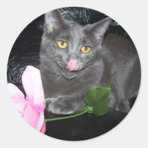 mmmm sticker