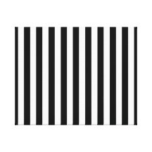 Mod Black and White Stripes Pattern Canvas Print