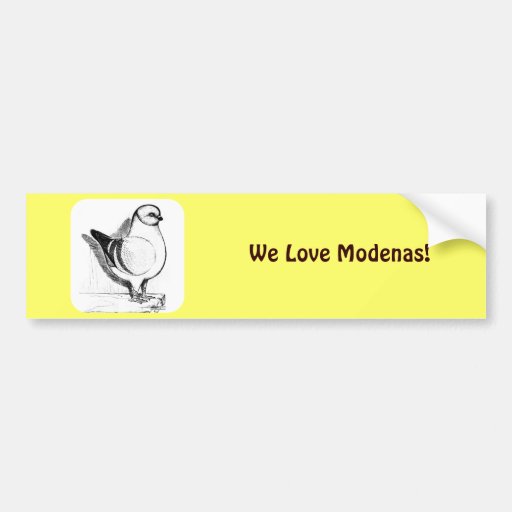 Modena Gazzi 1978 Bumper Stickers
