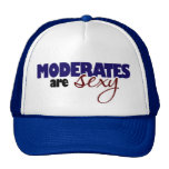 Moderates are Sexy Mesh Hats