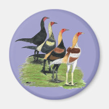 Modern Game Quartet Magnet