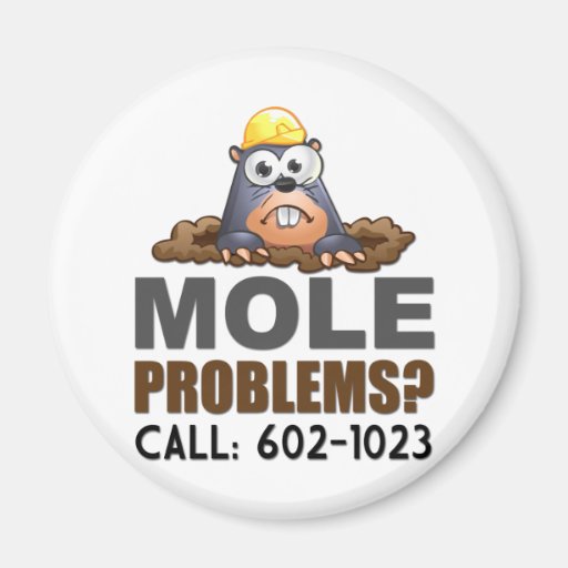 Mole Problems Magnets