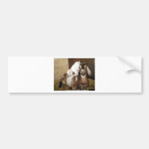 Momma and Baby Goat Bumper Sticker
