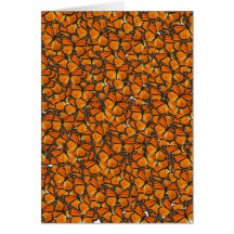 Monarch butterflies greeting cards