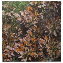Monarch Butterflies Cloth Napkins