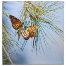 Monarch Butterflies Napkins