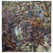 Monarch Butterflies Cloth Napkins