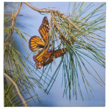 Monarch Butterflies Printed Napkins