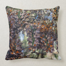 Monarch Butterflies Pillows