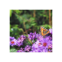 Monarch butterfly and purple flowers stretched canvas prints