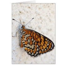 Monarch Butterfly Blank Greeting Card