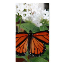 Monarch Butterfly Business Card
