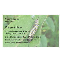 Monarch butterfly caterpillar business cards