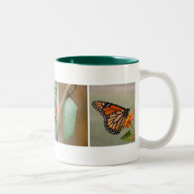 Monarch Butterfly Lifecycle Coffee Mug