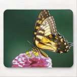 Monarch Butterfly Mousepad