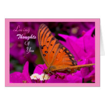 Monarch Butterfly on Bougainvilleas Cards