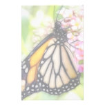 Monarch Butterfly Sipping Nectar Customized Stationery