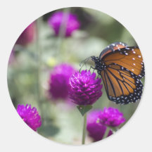 Monarch Butterfly Stickers