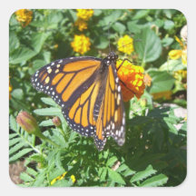 Monarch Majesty (10) Stickers