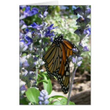 Monarch Majesty (3) Greeting Card