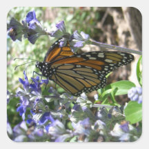 Monarch Majesty (3) Stickers
