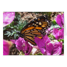 Monarch Majesty (6) Greeting Card