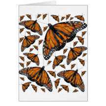 Monarch Rain Cards