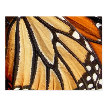 Monarch Wing ~ postcard