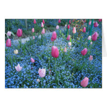 Monet Gardens, Giverny France Thank You Card