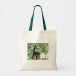 Monkey and Baby Bags